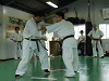 imido (109)_samu.gif